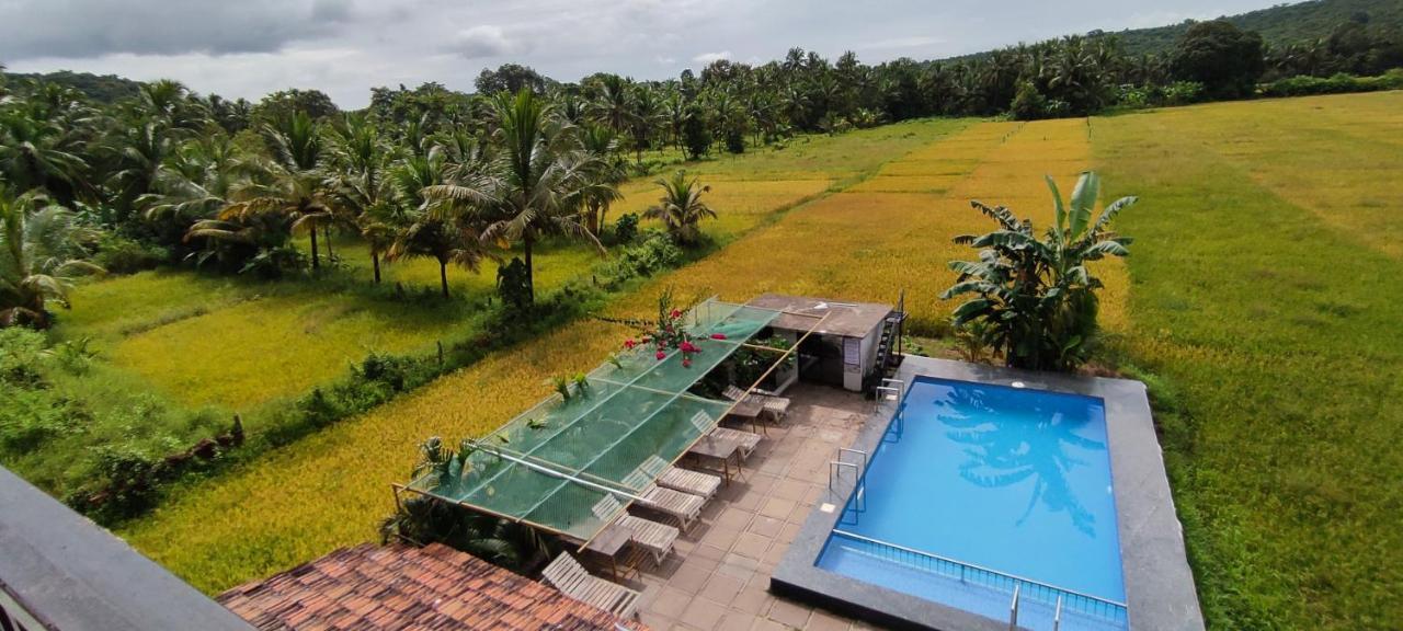 Shivam Bnb Mandrem Exterior foto